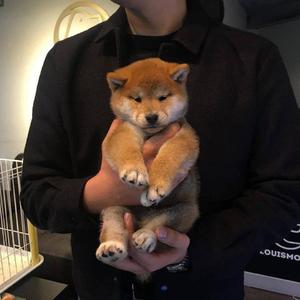 性感裸体美女自慰高潮
